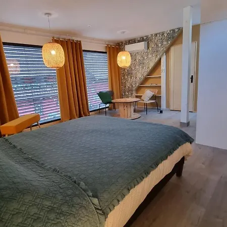 Nid 2 Cigognes Zimmerbach