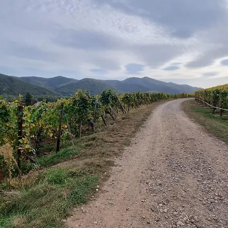 Holiday home Nid 2 Cigognes