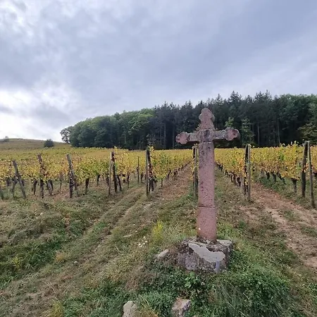 Nid 2 Cigognes Holiday home