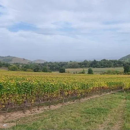 Nid 2 Cigognes Zimmerbach