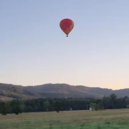 Nid 2 Cigognes Zimmerbach